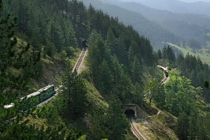 Due treni su una ferrovia che si snoda attraverso una montagna boscosa.